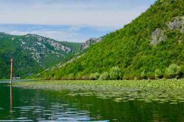lac-skadar-montenegro-voyage